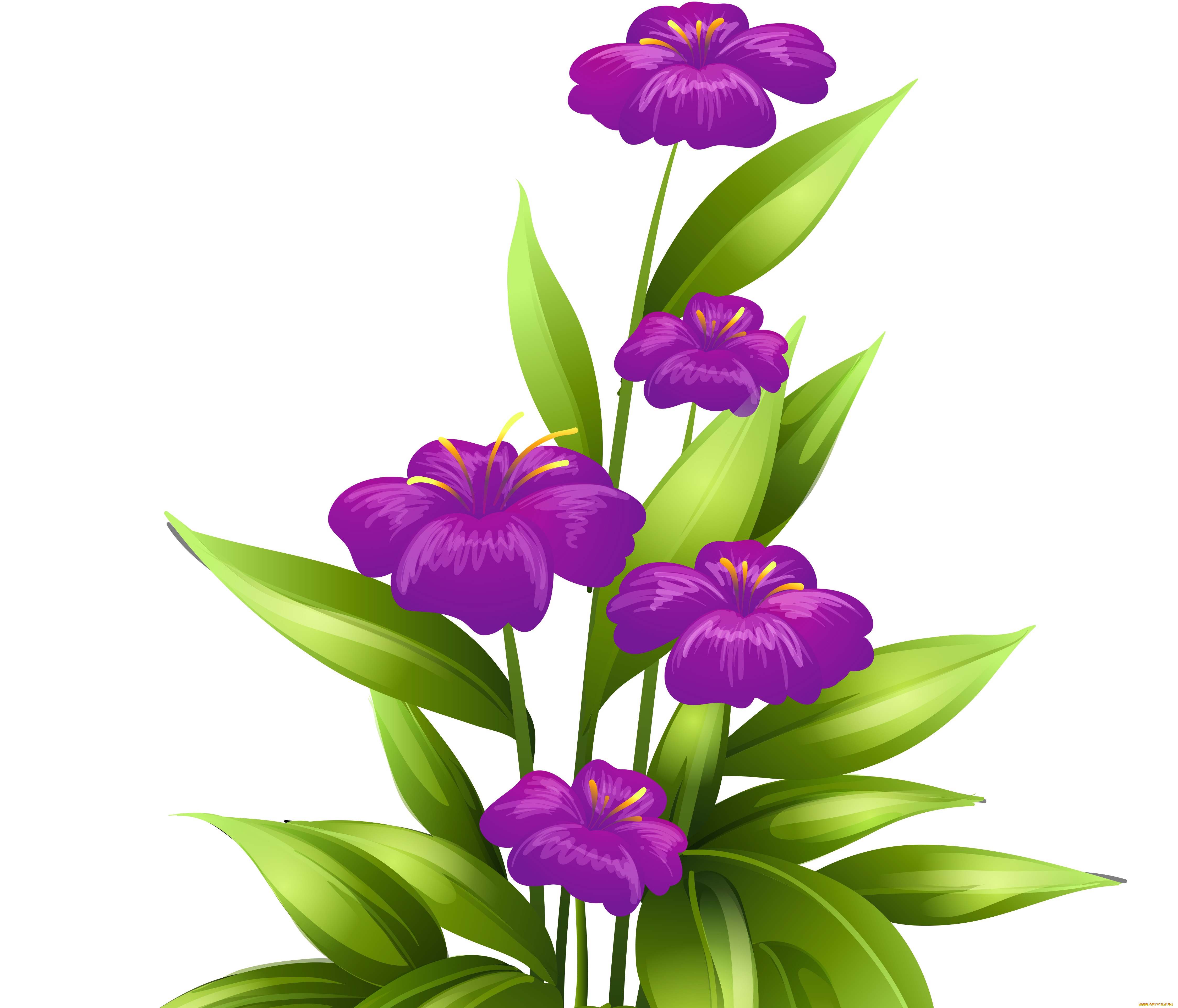  ,  , flowers, , , 